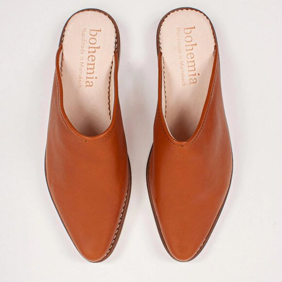 Sleek Brown Leather Mules with Pointed Toe - Picture 1 of 16